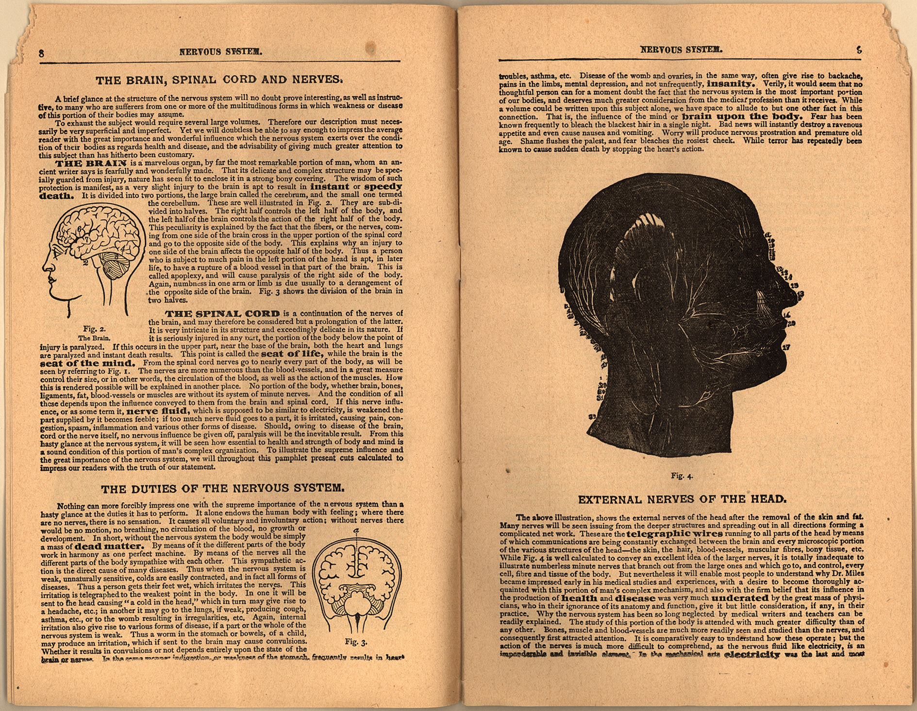 150dpi JPEG image of this item