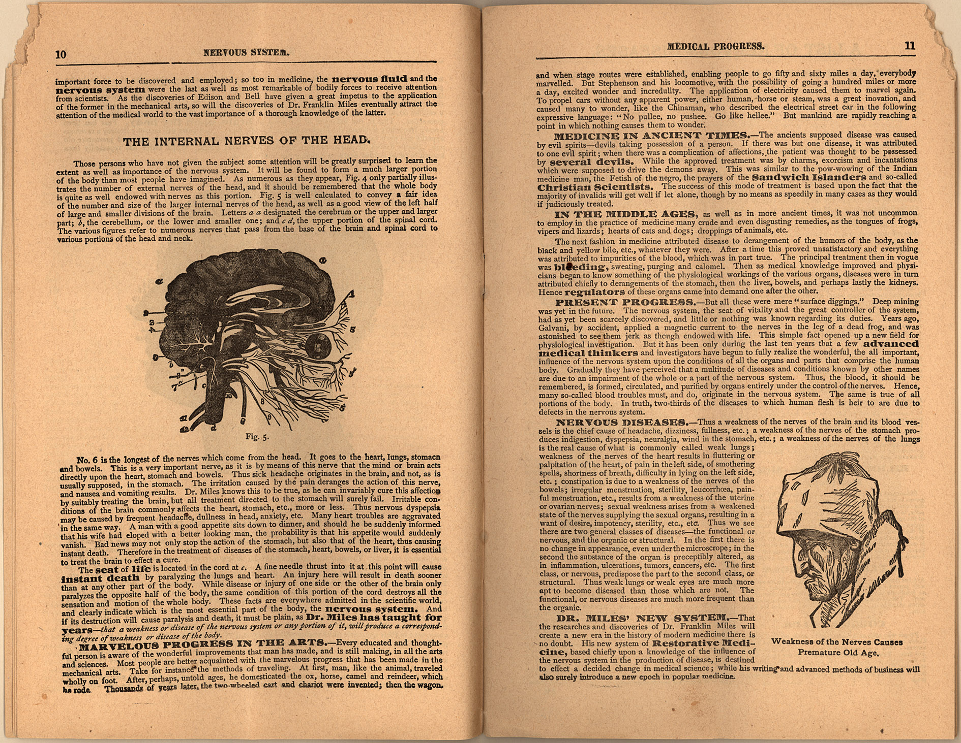 150dpi JPEG image of this item