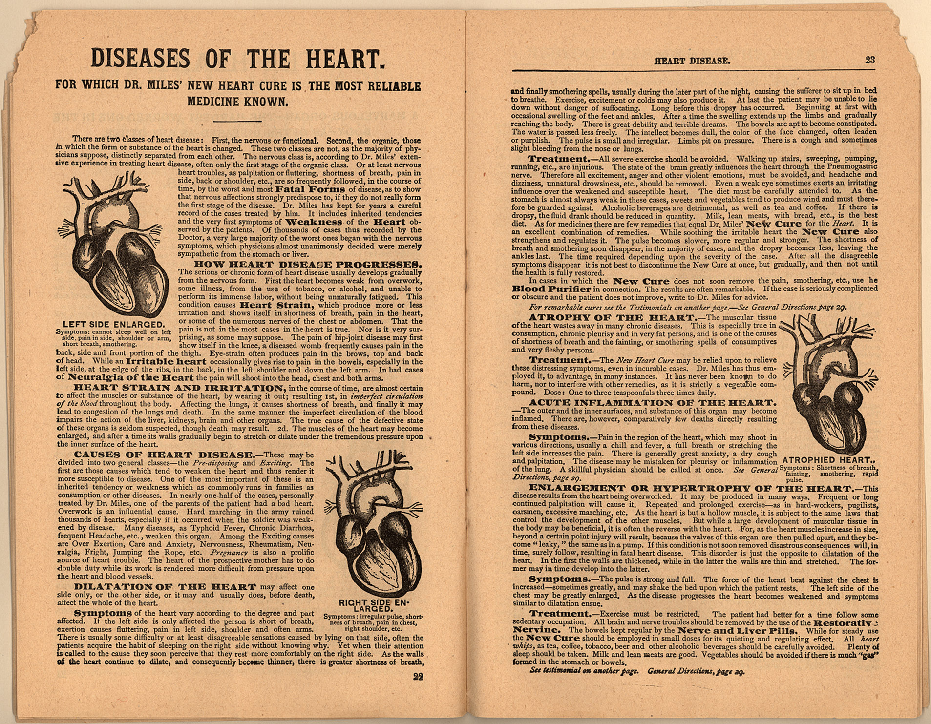 150dpi JPEG image of this item