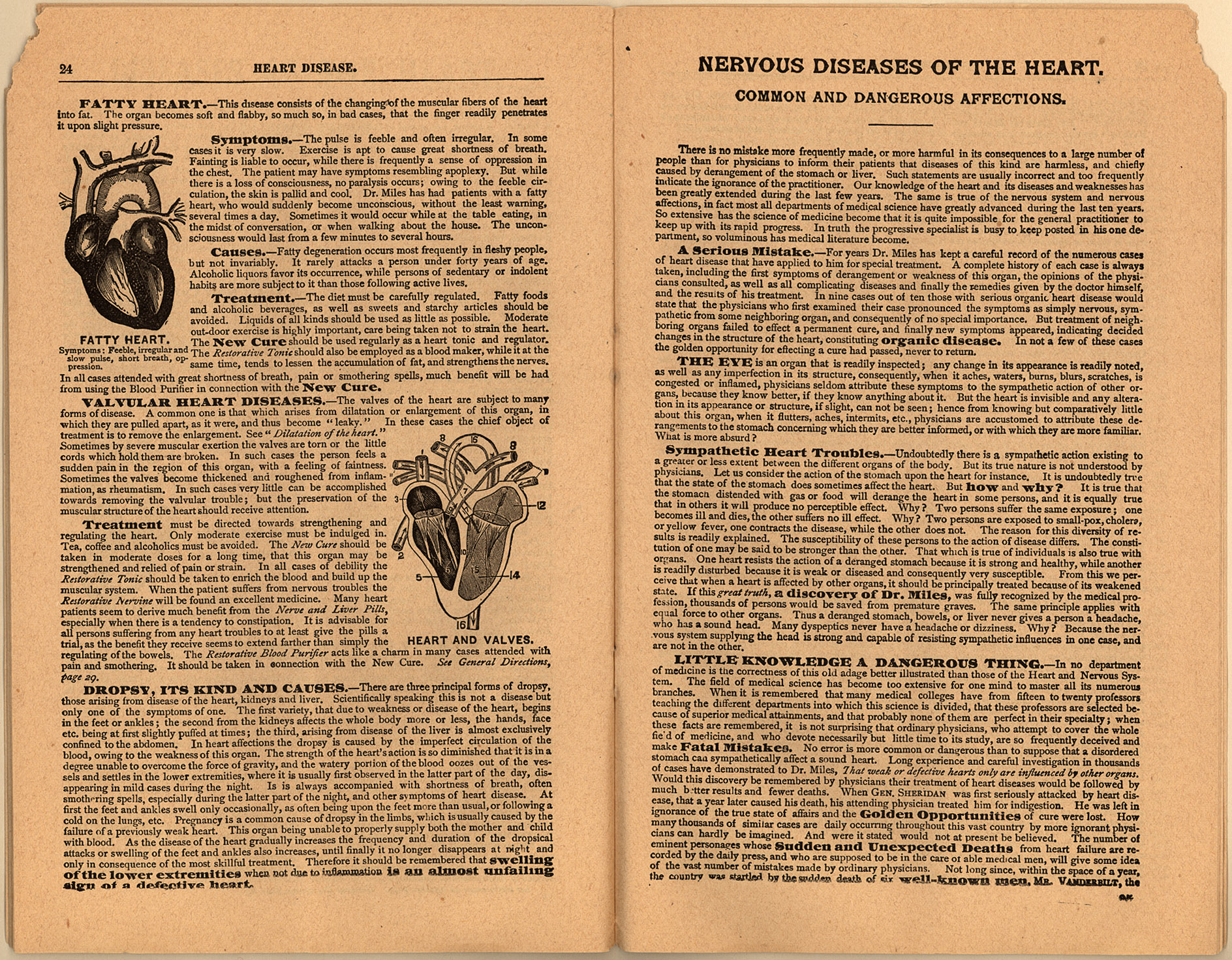 150dpi JPEG image of this item