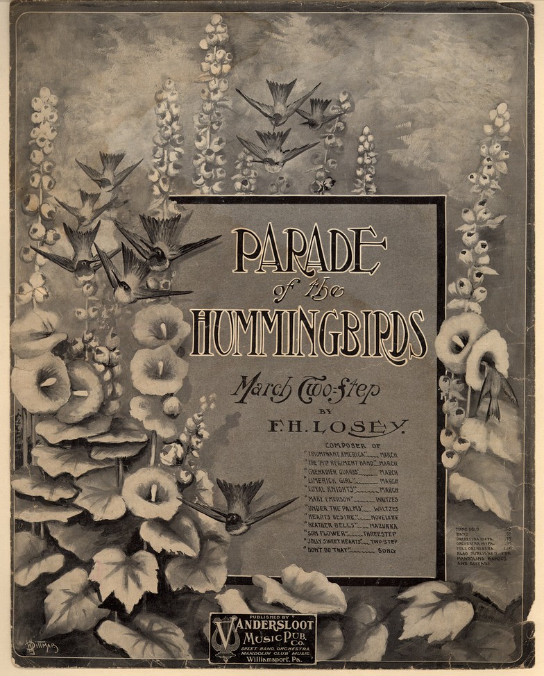 72dpi JPEG image of: Parade of the humming birds