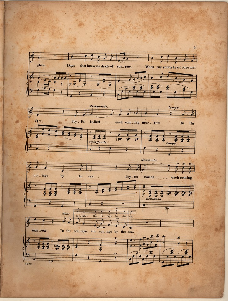 72dpi JPEG image of: Cottage by the sea