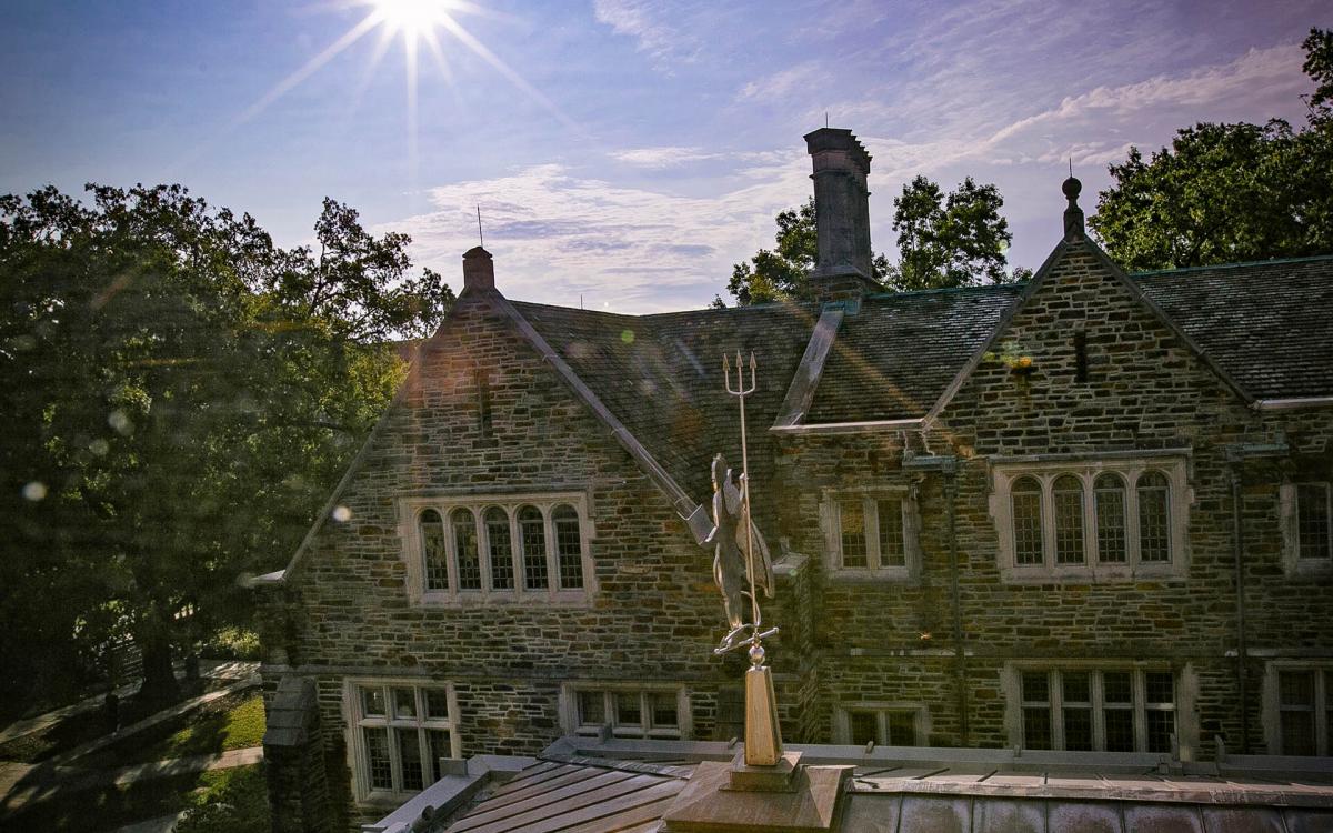 Blue Devil Weathervane