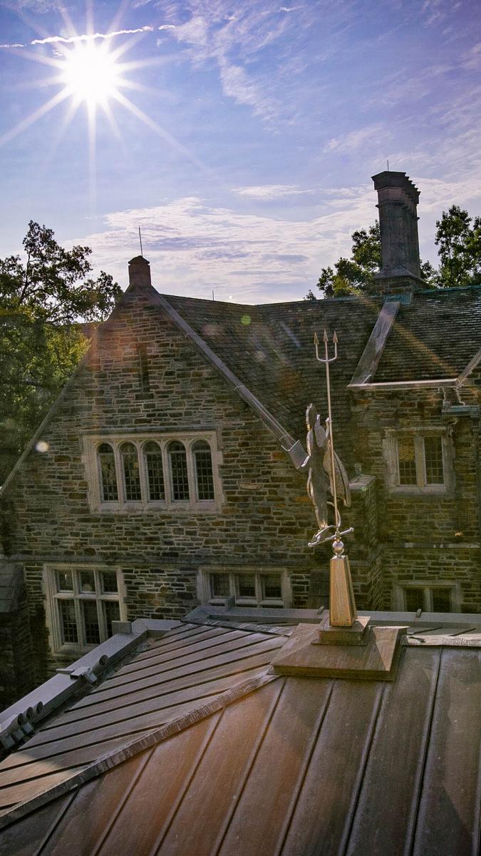 Blue Devil Weathervane