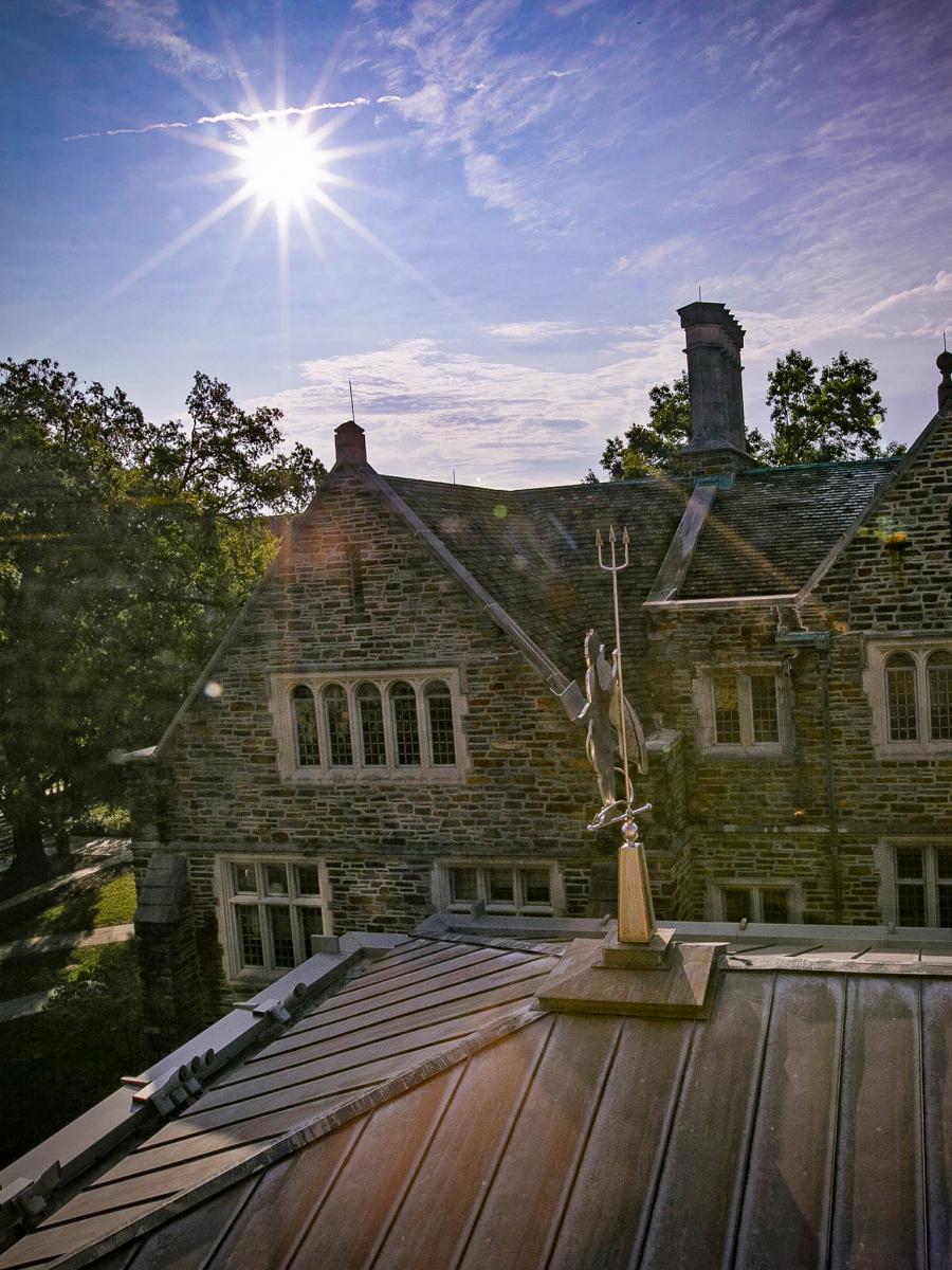 Blue Devil Weathervane