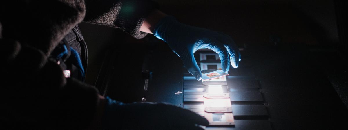 staff member digitizing slides