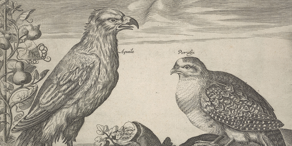 Bird engraving ca. 1630â1649 by Marie Briot. From the Lisa Unger Baskin collection.