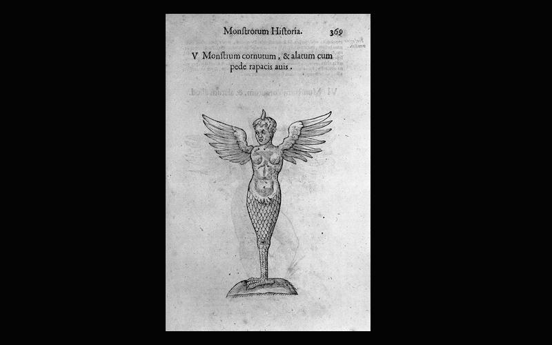winged animal on paper page with text