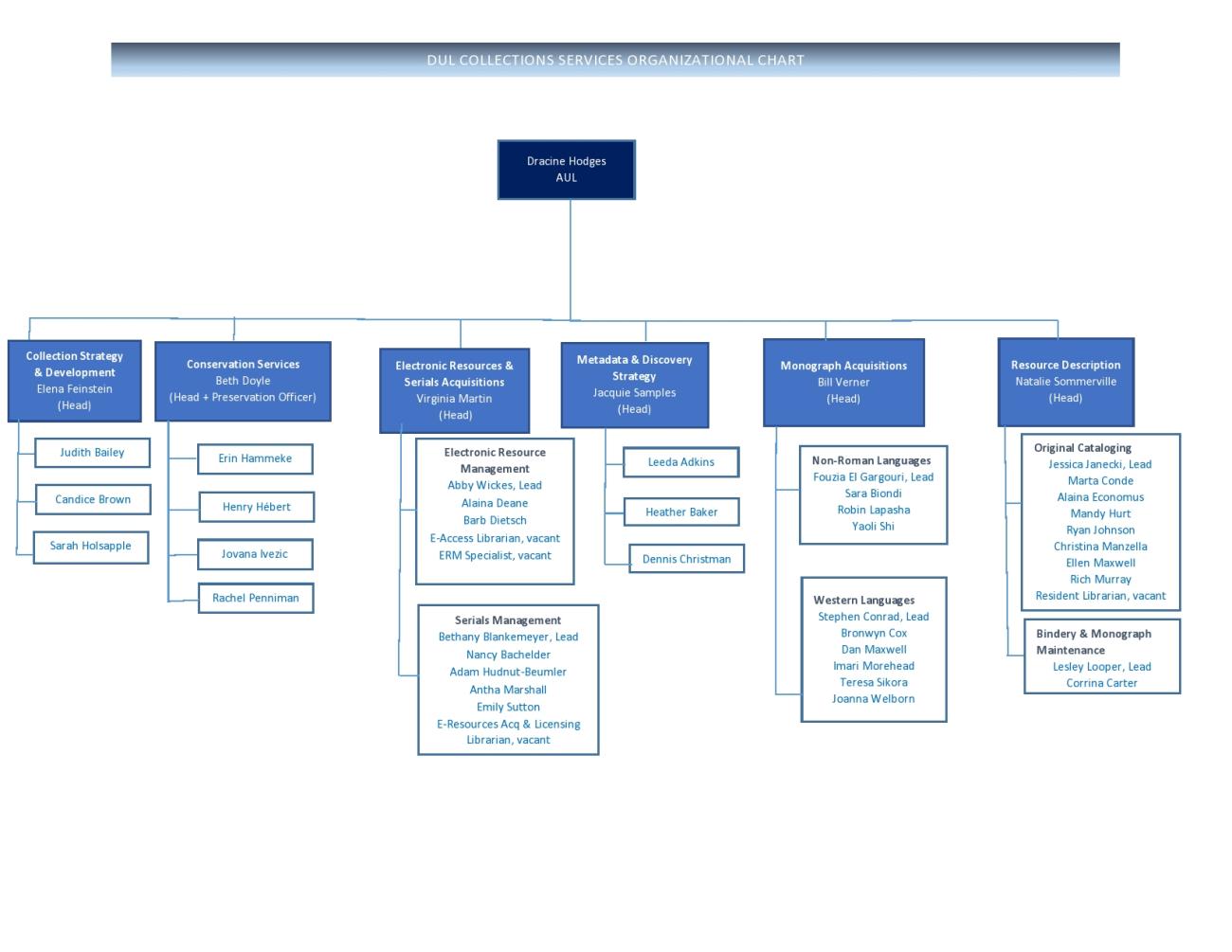 Collections Services Organizational Chart