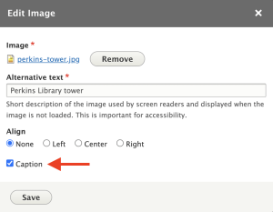 Edit Image dialog with Caption checked