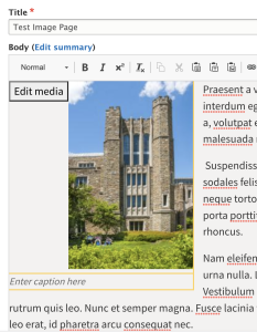 UI for entering an image caption